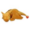 Slapende Charizard Knuffel